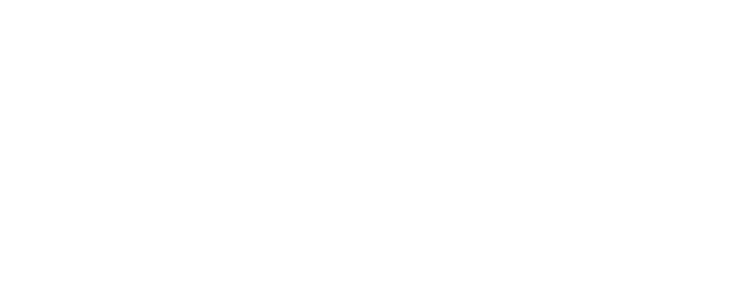 Geodis Logo White